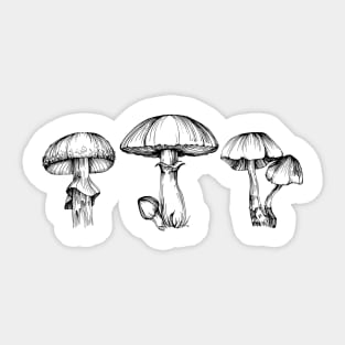 Mushrooms Trio Sticker